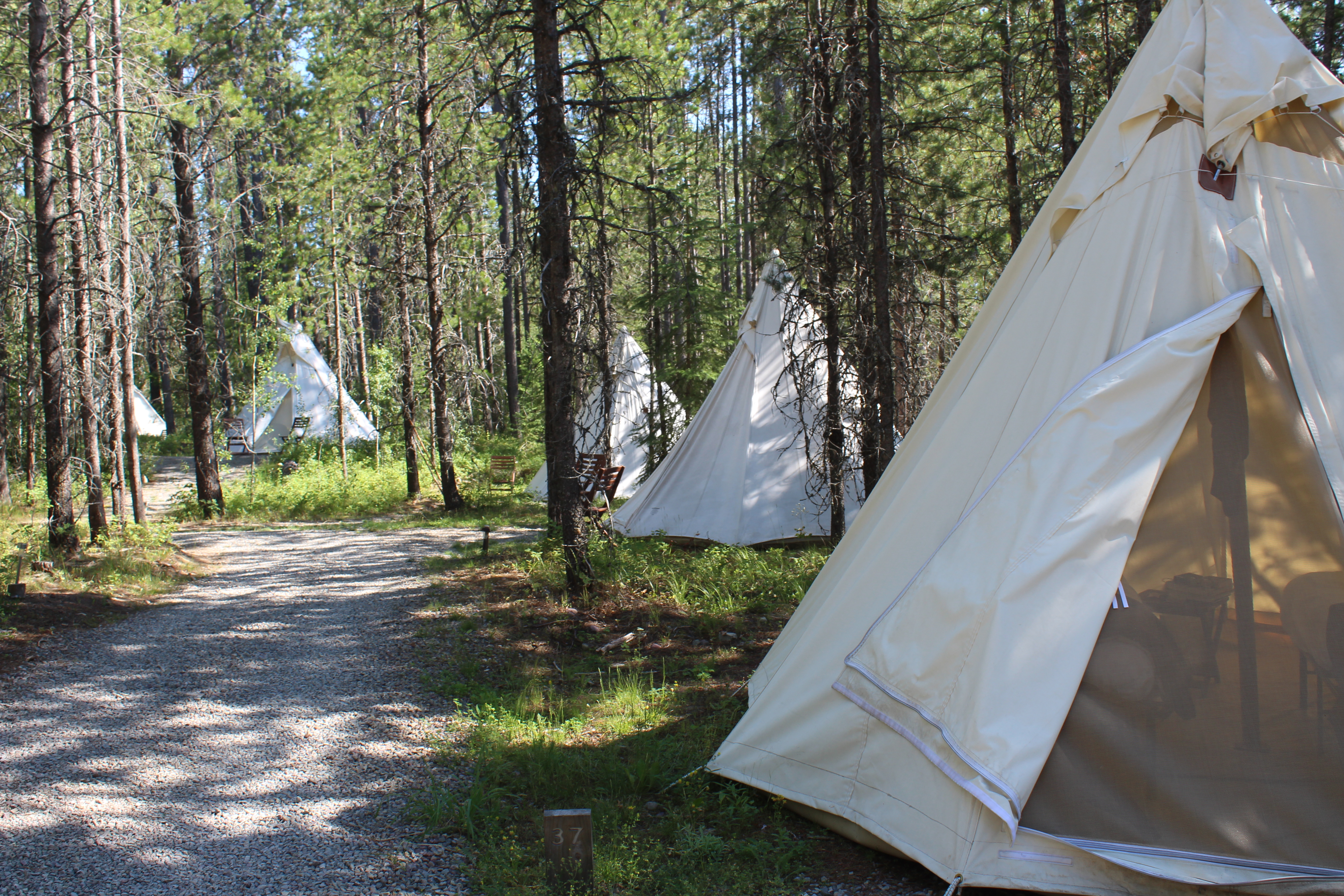 under canvas glacier