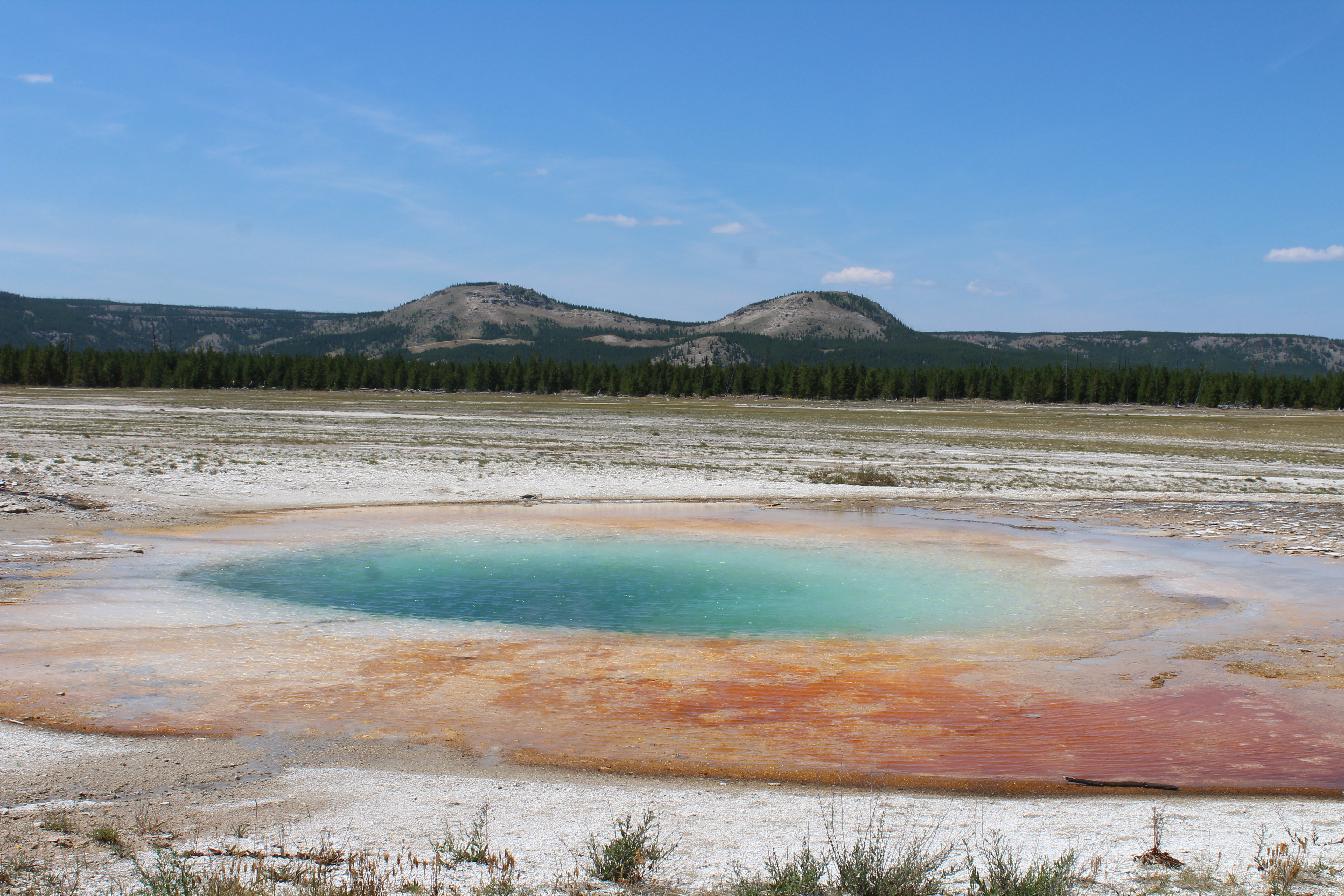grand prismatic spring in yellowstone national park